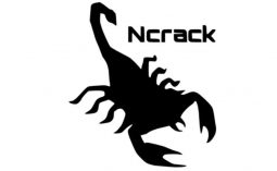 ncrack rdp brute force tool