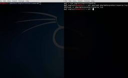 PHP Reverse Shell - Meterpreter
