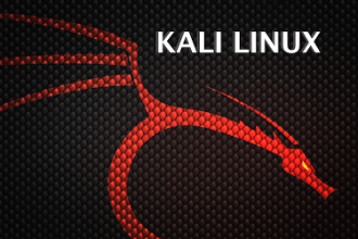 kali linux eğitimi