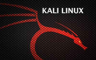 kali linux eğitimi