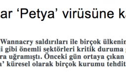 petya virüsü