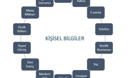 Firma ve Çalışanlarına Yönelik Bilgi Toplama